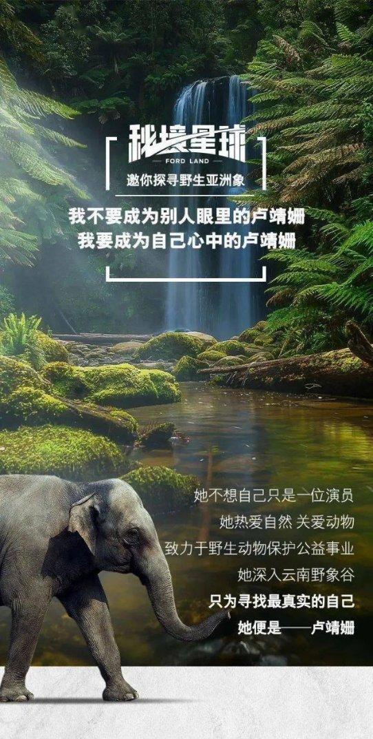 救援受困的长颈鹿