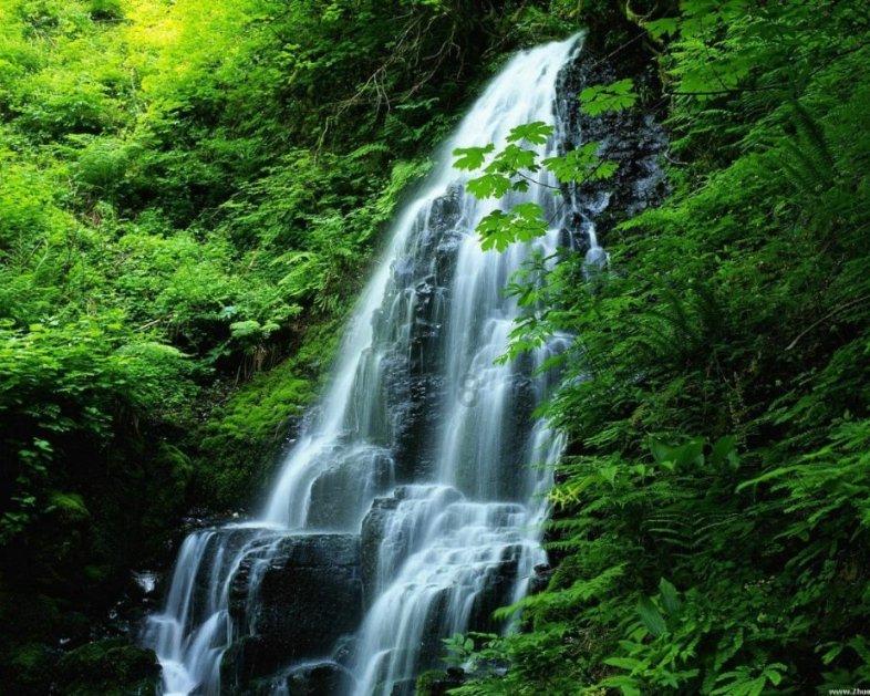 大老虎在水里泡澡，还抱住球防止自己沉下去