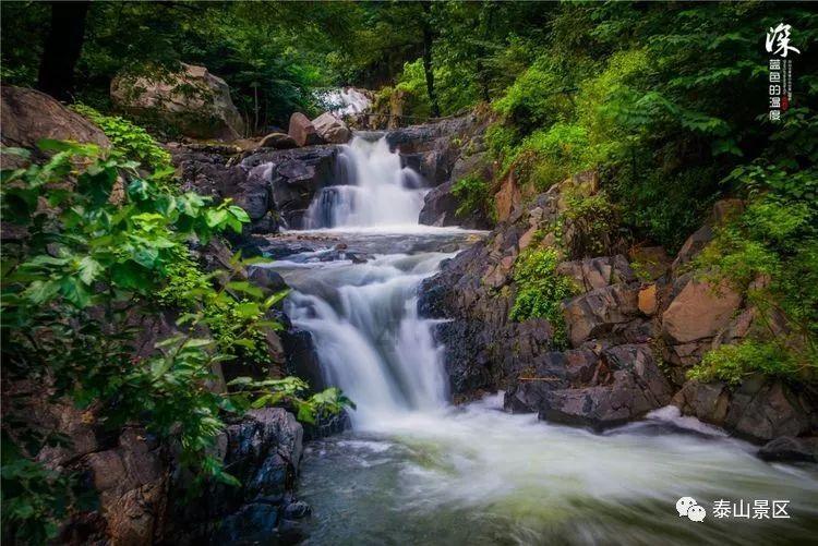 虫虫助手下载