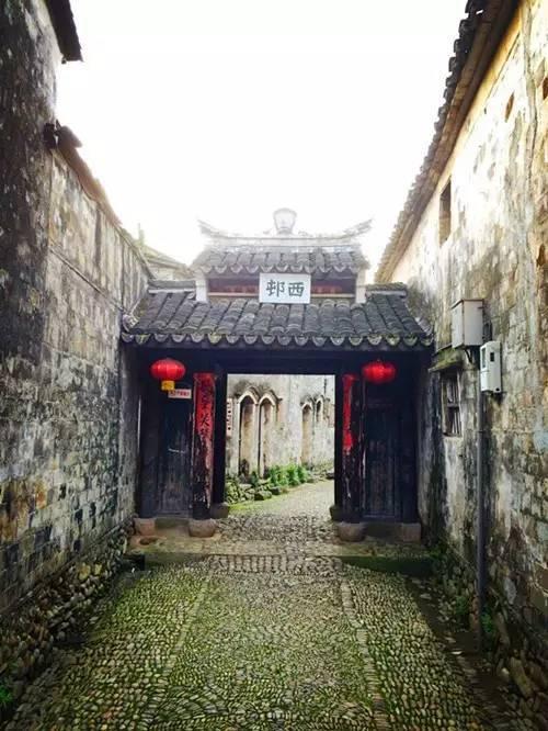 【专业建在产业上】打造技能人才，彰显职教魅力——汽车运用与维修专业